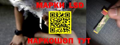 гидра Малгобек