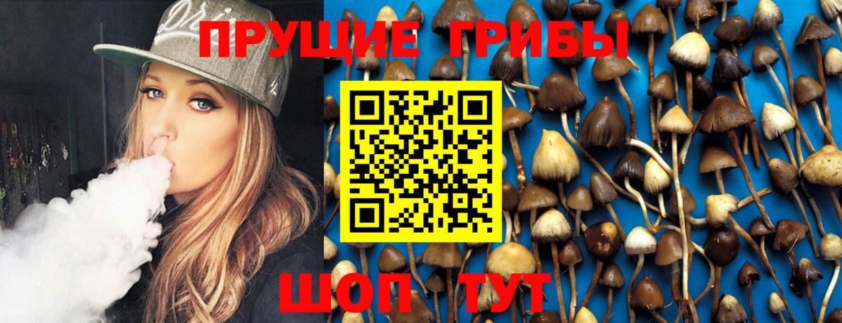 Псилоцибиновые грибы Psilocybe  Вход с VPN  Фурманов 